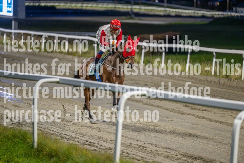 20251023-181205-DSC_5652