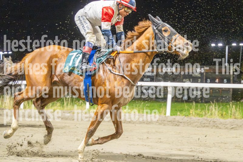 20251023-200020-DSC_7129