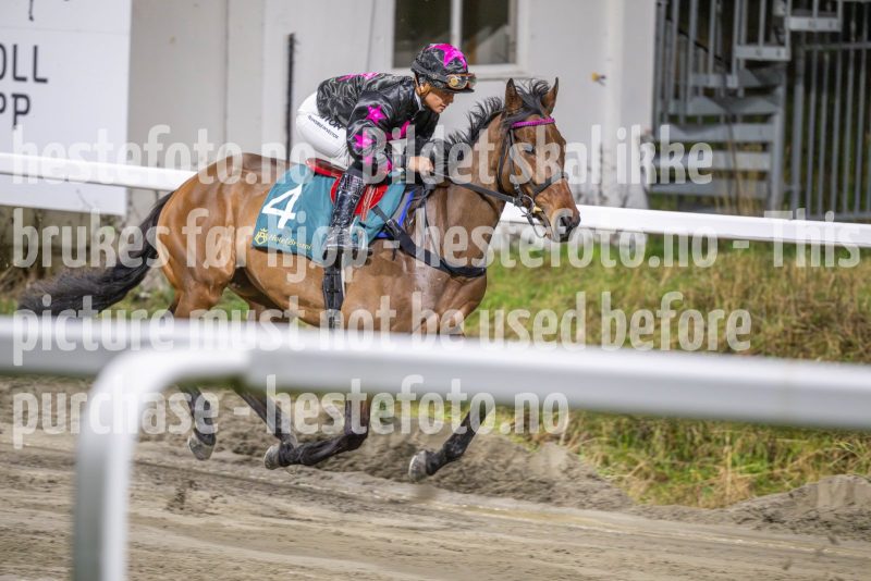 20251023-201839-DSC_7256