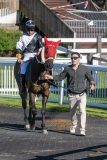 20260625-183728-DSC0991