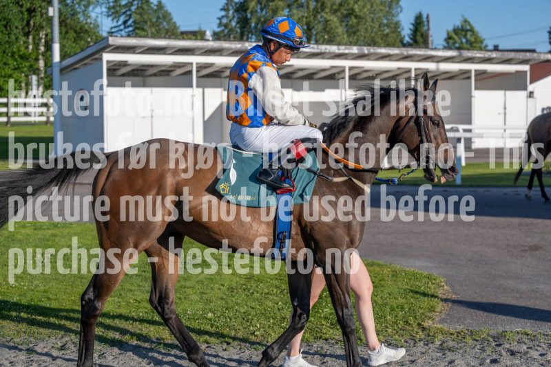 20250627-201856-DSC8162