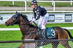 20260927-131621-DSC_7139