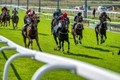 20260927-140457-DSC_8817