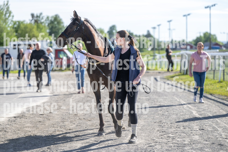 20260528-173505-DSC_2493