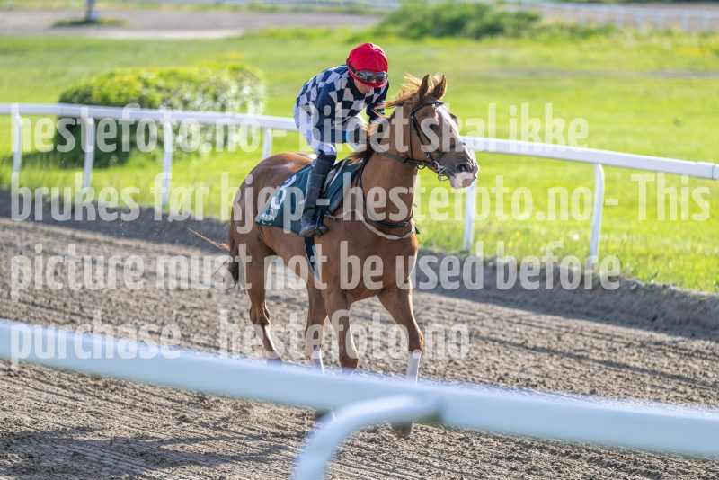 20260528-181216-DSC_4197