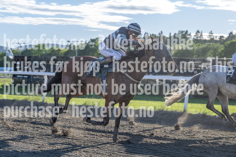 20260528-194329-DSC_6922