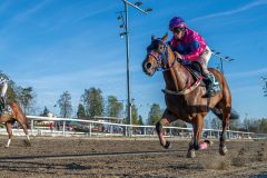 20260430-193754-DSC_1242