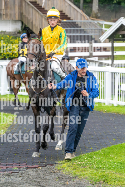 20260730-191546-DSC6184