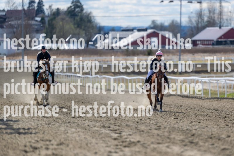 20220423-142914-DSC2078