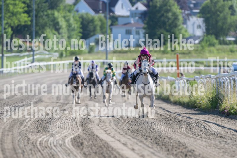 20250621-173117-DSC_2099