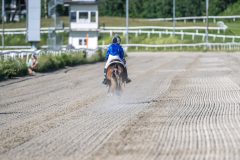 20260625-172415-DSC_0301