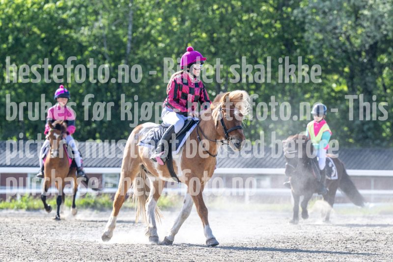 20260528-171813-DSC_1908