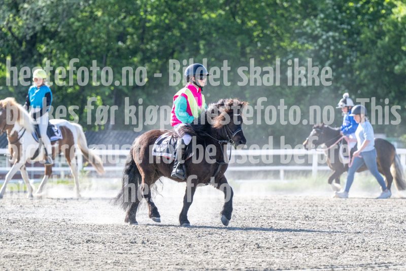 20260528-171817-DSC_1910
