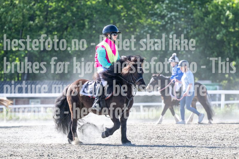 20260528-171817-DSC_1913