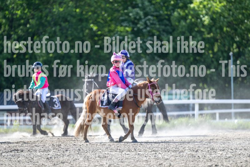20260528-171835-DSC_1938