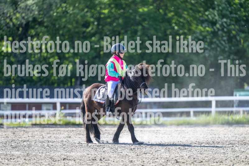 20260528-171849-DSC_1949