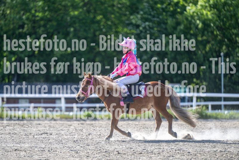 20260528-172011-DSC_2025
