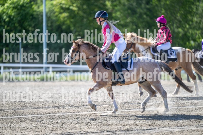 20260528-172013-DSC_2029
