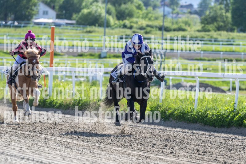 20260528-172719-DSC_2131
