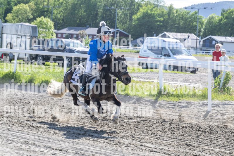 20260528-173337-DSC_2406