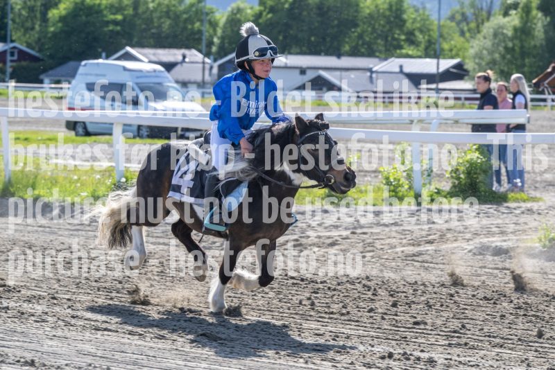 20260528-173338-DSC_2411