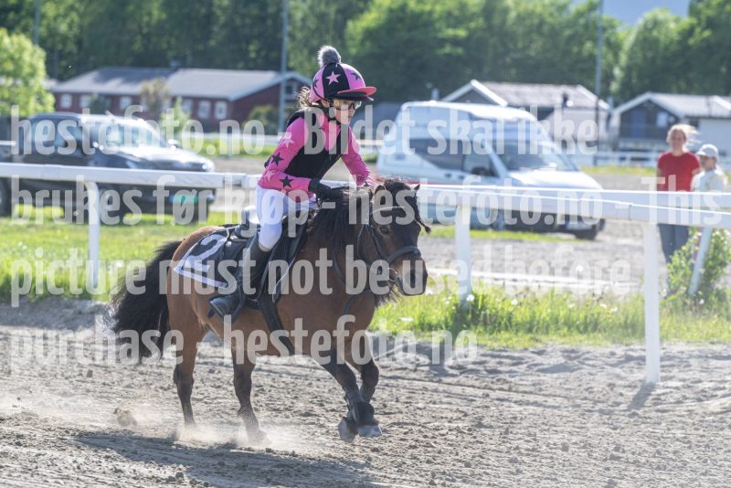 20260528-173341-DSC_2445