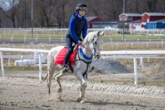 20240420-134214-DSC_8458