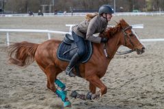 20240420-141517-DSC_4239
