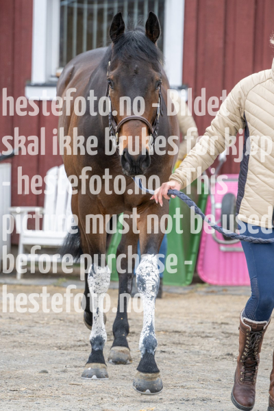20240420-131019-DSC_7796