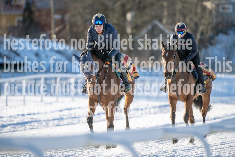 20250201-120201-DSC_5939
