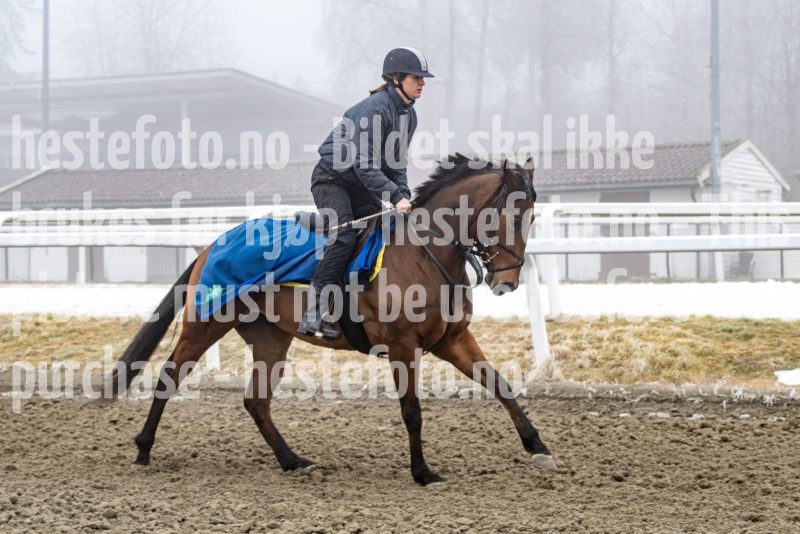 20250301-115709-DSC_9660