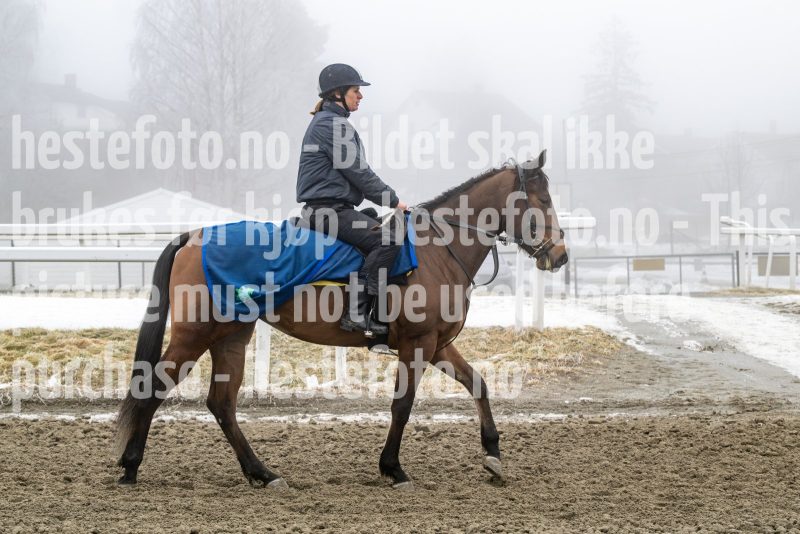 20250301-120222-DSC_9904