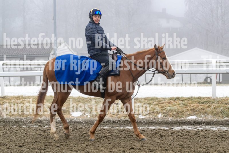 20250301-120225-DSC_9911