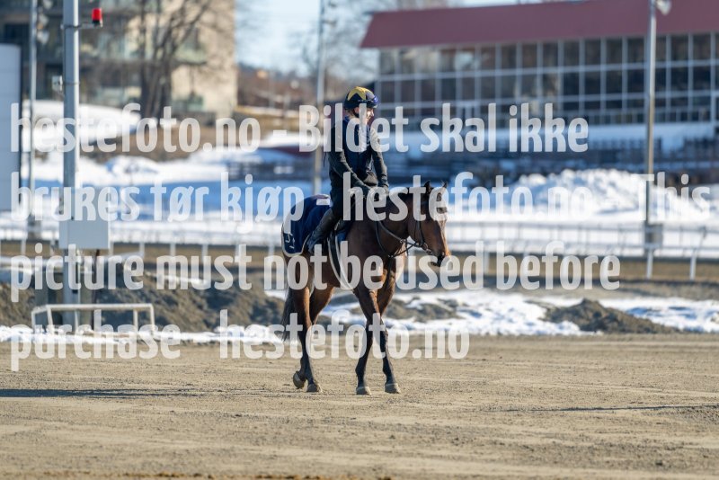 20230401-095625-DSC_6820