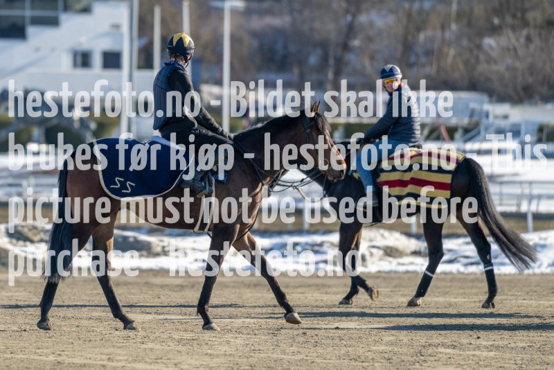 20230401-095630-DSC_6827