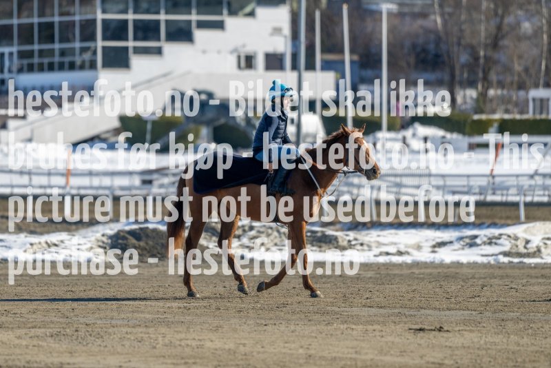 20230401-110813-DSC_7060