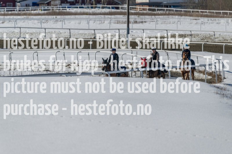 20230401-111538-DSC_7150