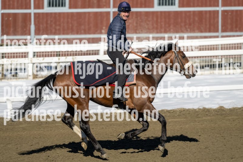 20230401-111613-DSC_7285