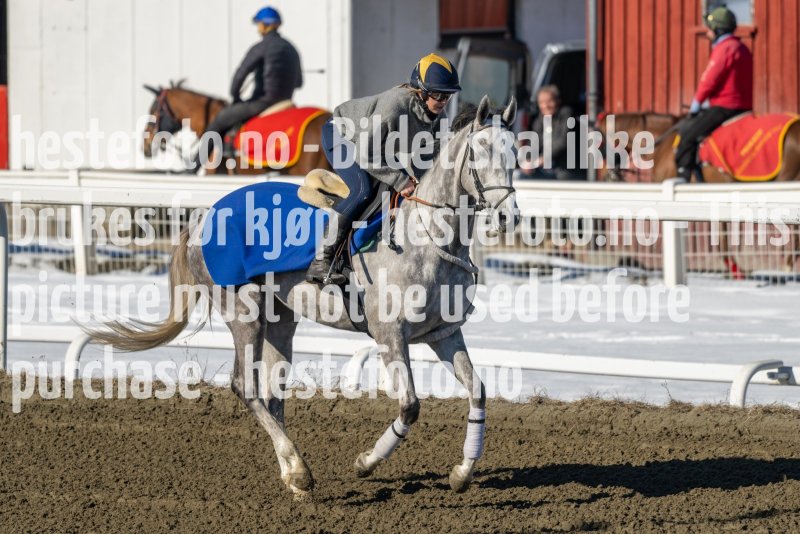 20230401-111926-DSC_7468