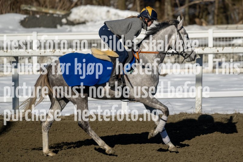 20230401-111933-DSC_7519