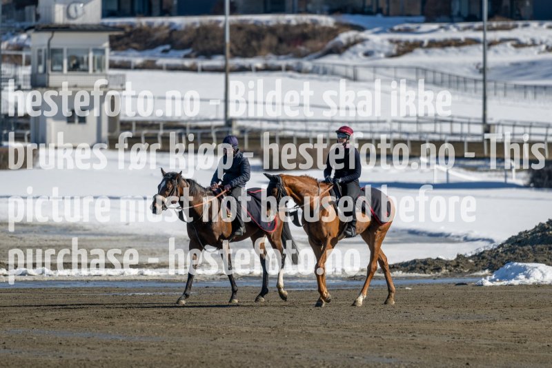 20230401-112146-DSC_7569