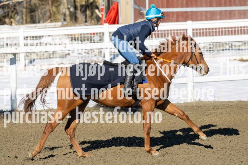 20230401-112523-DSC_7690