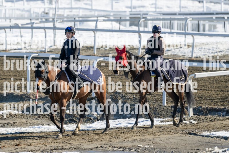 20230401-112825-DSC_7730