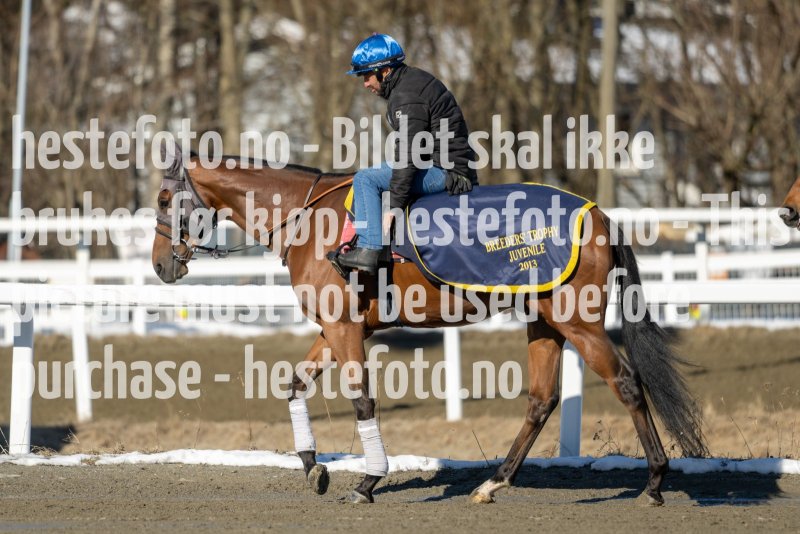 20230401-112914-DSC_7813