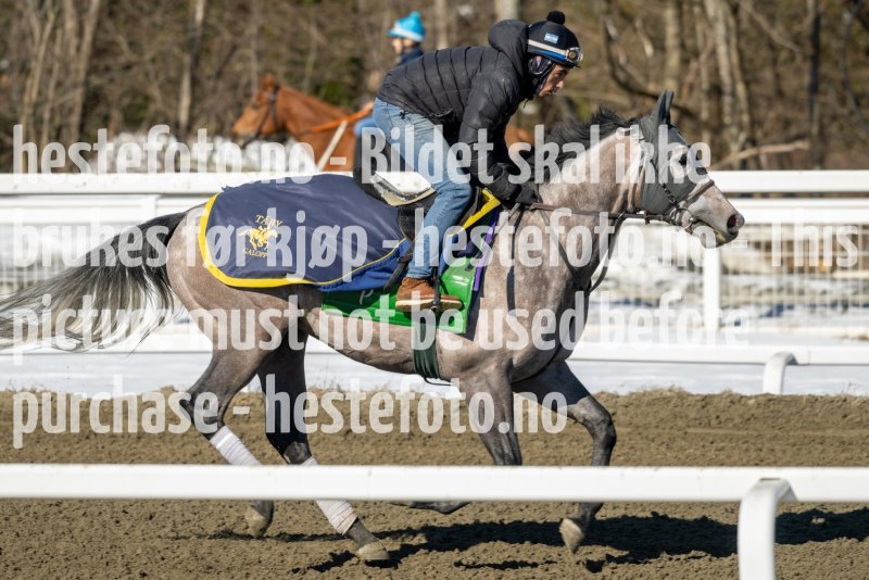 20230401-113313-DSC_8123
