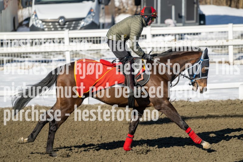 20230401-114348-DSC_8661