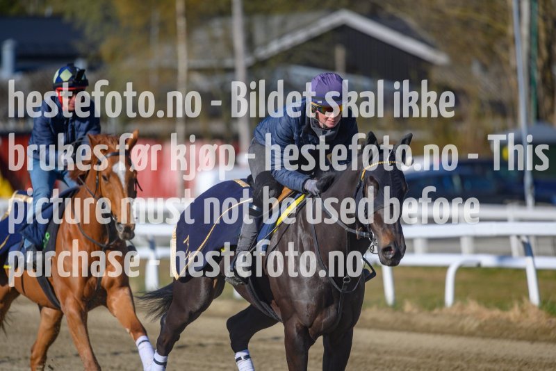 20210501-084729-DSC7465