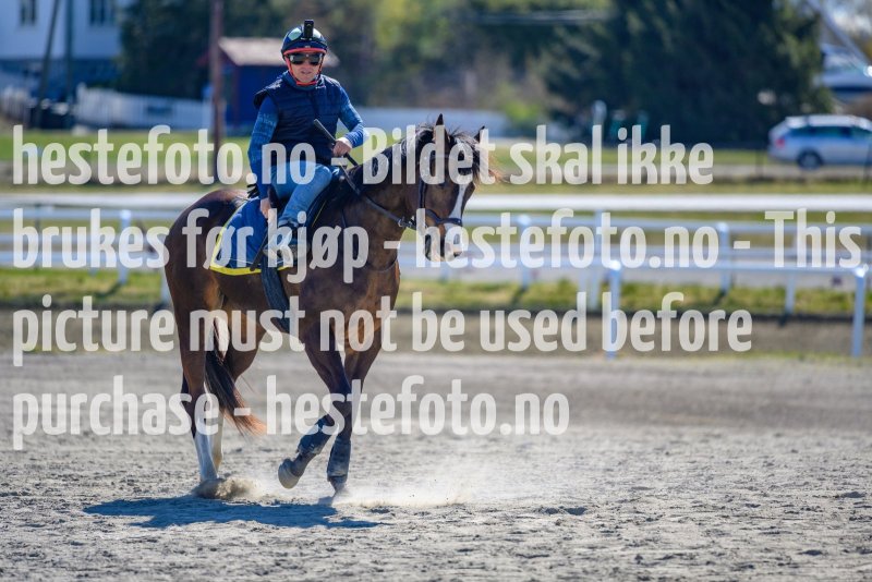 20210501-113639-DSC7960