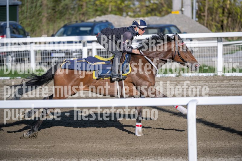 20260502-082624-DSC_6325