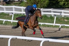 20260502-081858-DSC_5552
